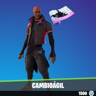 Cambiogil